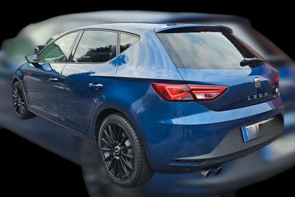Seat Leon 145.941 km 11.000 &euro; Erbach 89155