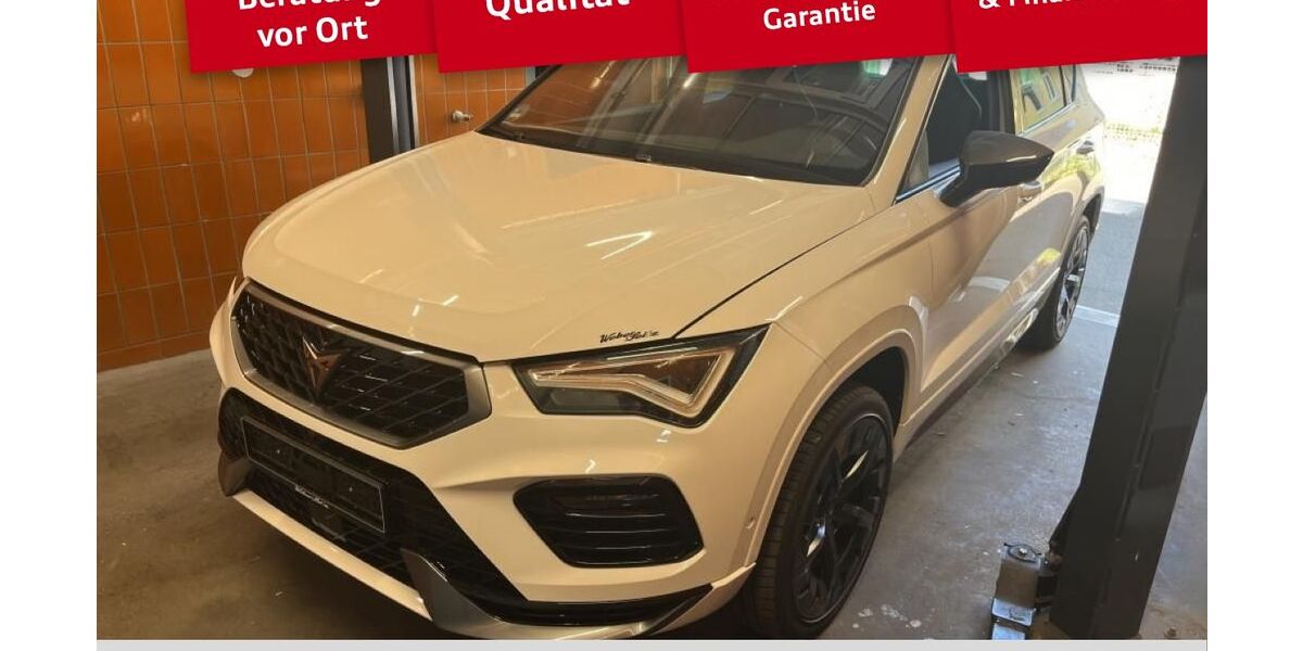 Cupra Ateca 51.991 km 25.270 &euro; Illertissen 89257