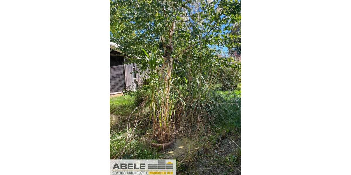 Einfamilienhaus Ehingen - Dettingen Dettingen - 800.000&euro; | Angebot:26026904