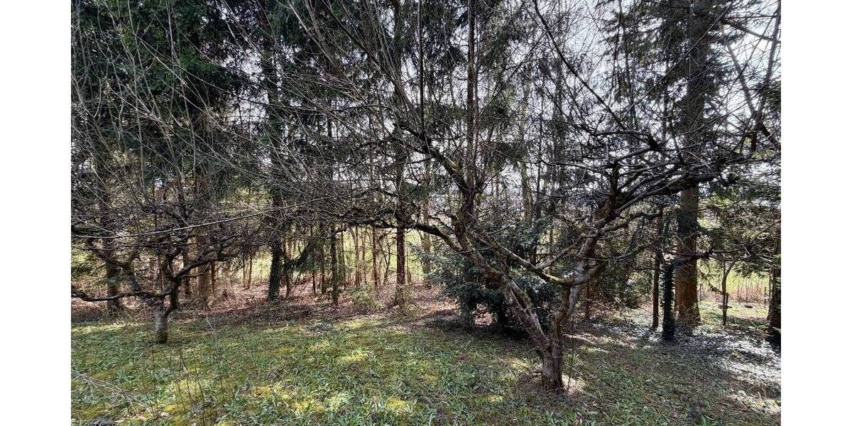 Grundstück Erbach - 1.363.000&euro; | Angebot:26160335