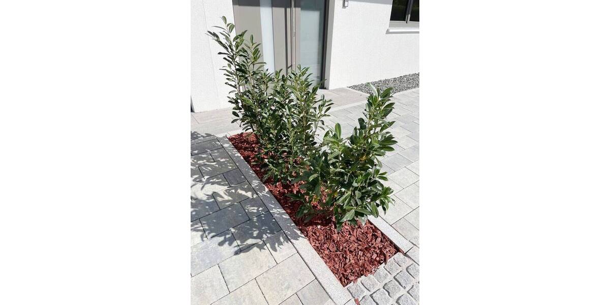 Doppelhaushälfte Illerkirchberg Oberkirchberg - 5 Zimmer, 155 m&sup2;, 649.000&euro; | Angebot:25728451