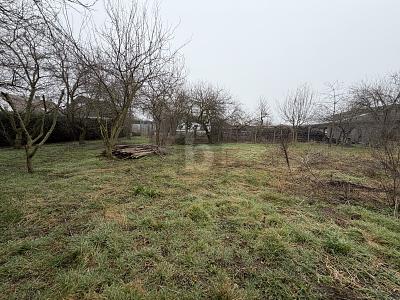 GROßE SCHEUNE, GARAGE & WOHNEN AUF VIEL GRUND - Einfamilienhaus Sontheim an der Brenz | Angebot:25986301