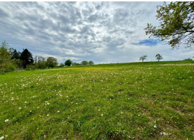 Mehrfamilienhaus, Wohnhaus Mietingen - 520.000&euro; | Angebot:25689280