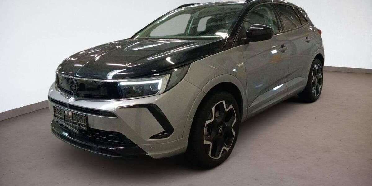 Opel Grandland X 19.500 km 28.490 &euro; Ulm 89073