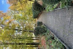 - 4- Herbrechtingen | Angebot:26770187