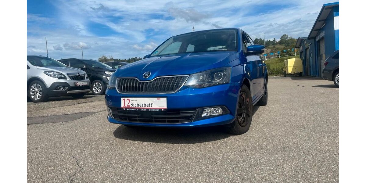 Skoda Fabia 118.000 km 7.999 &euro; Blaustein 89134