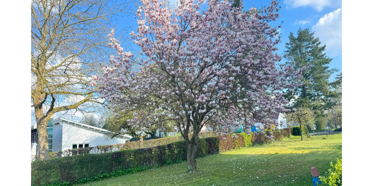 Etagenwohnung Ulm Jungingen - 3 Zimmer, 97 m&sup2;, 1.115&euro; | Angebot:26244902