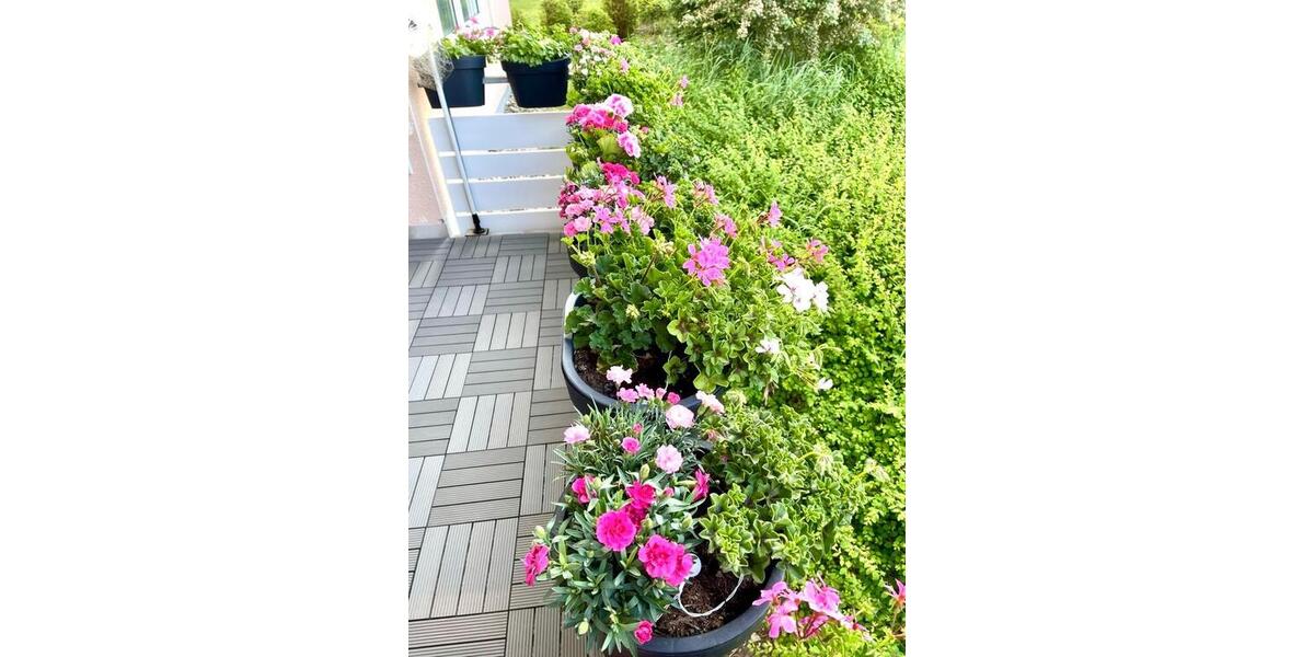 Erdgeschoßwohnung Herbrechtingen - 3 Zimmer, 86 m&sup2;, 279.000&euro; | Angebot:25641422