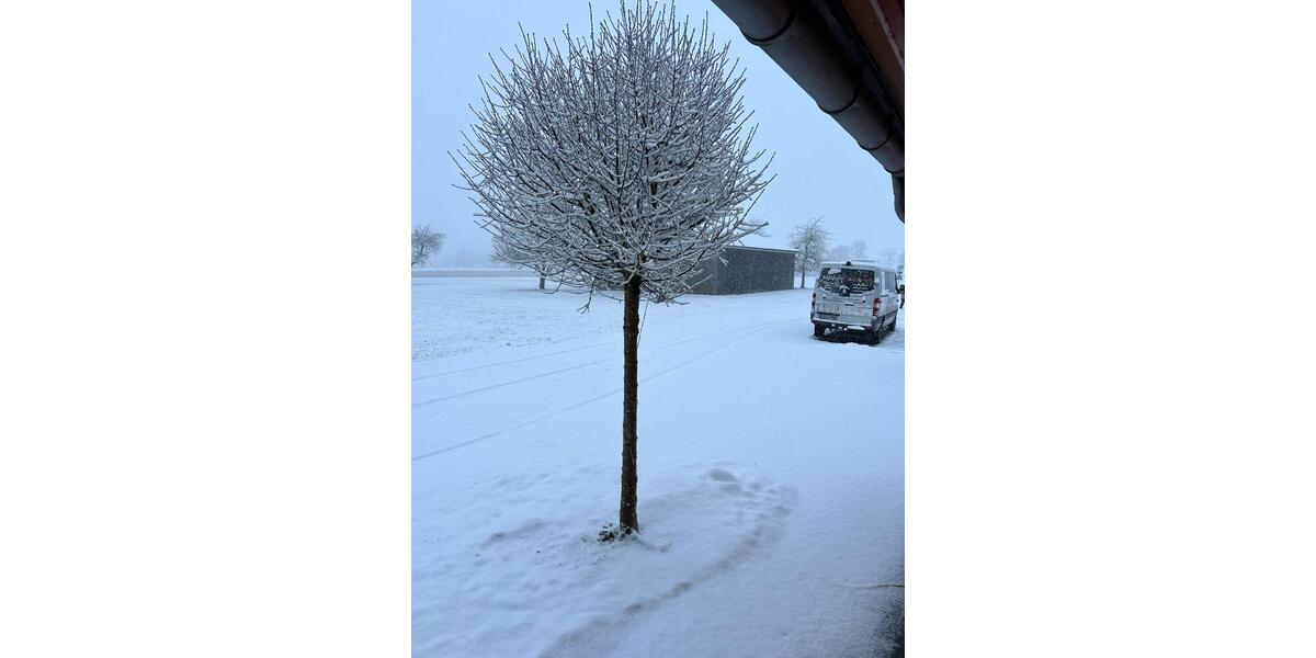 Terrassenwohnung Berghülen - 1 Zimmer, 20 m&sup2;, 35&euro; | Angebot:25407152