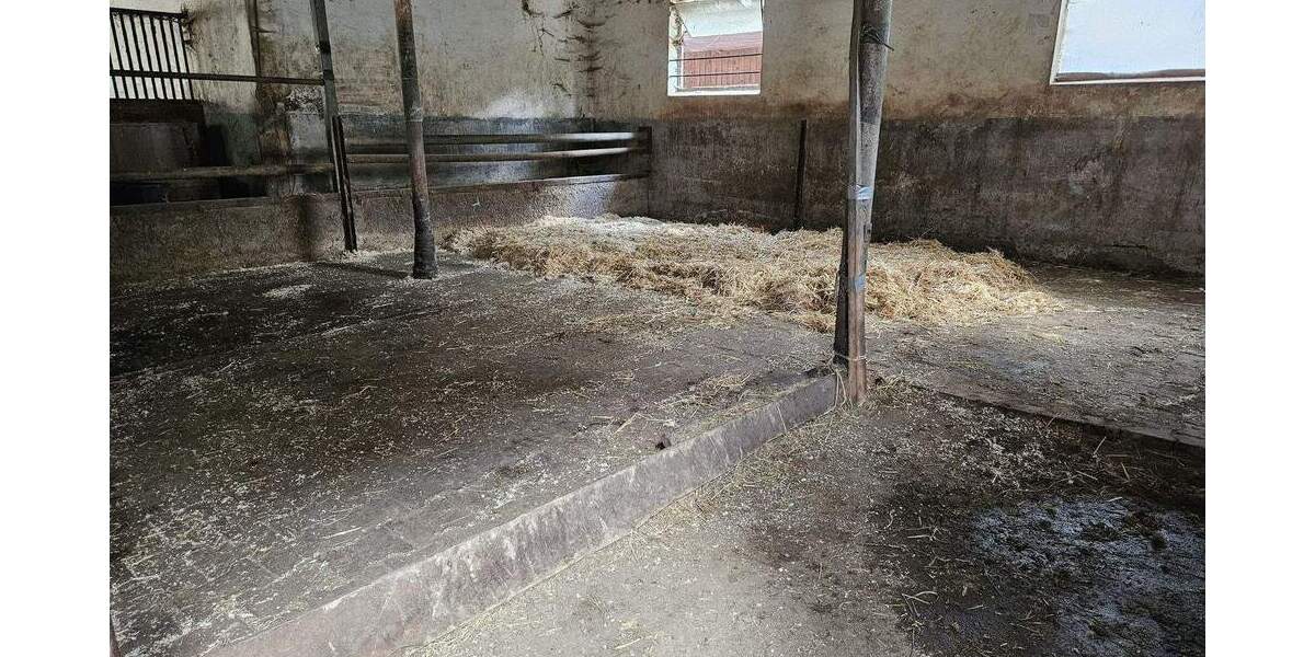 Mehrfamilienhaus, Wohnhaus Mietingen - 520.000&euro; | Angebot:25689280