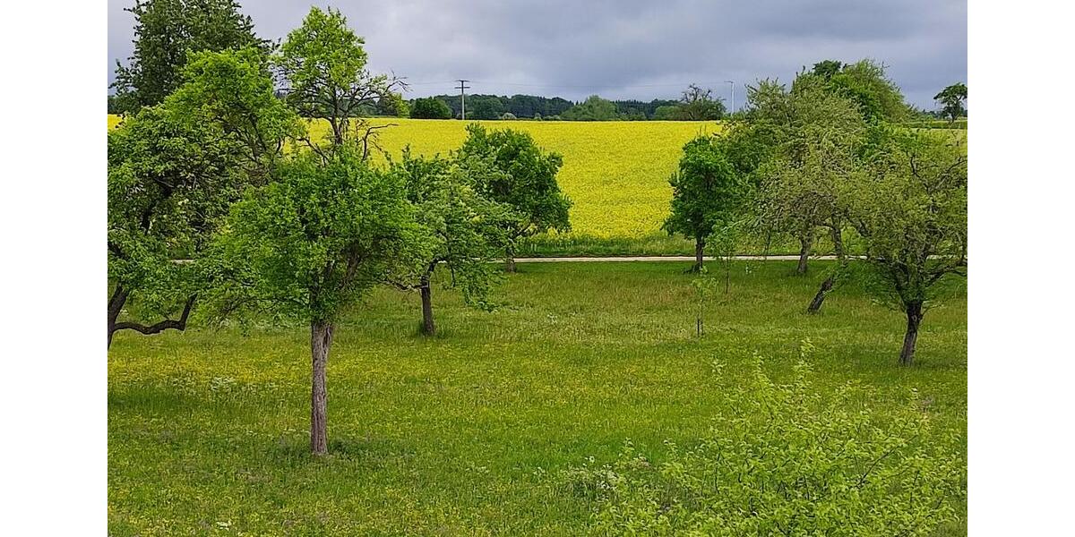 Einfamilienhaus Berghülen - 750.000&euro; | Angebot:25898759