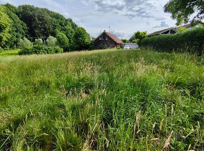 IHR GRÜNES PARADIES FÜR DIE GANZE FAMILIE - Grundstück Weißenhorn | Angebot:27337495