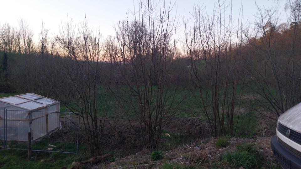 Mehrfamilienhaus, Wohnhaus Günzburg - 8 Zimmer, 343 m&sup2;, 900.000&euro; | Angebot:26126833