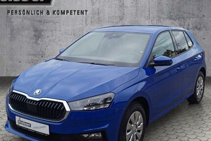 Skoda Fabia 4.900 km 19.480 &euro; Ulm 89077