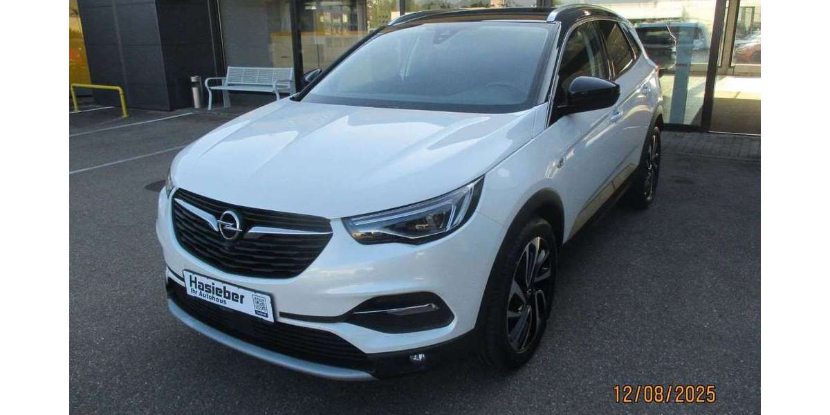 Opel Grandland X 132.800 km 12.790 &euro; Erbach 89155